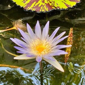 Meet your Posher, Kerry